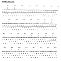 vacciner是什么意思？法语vacciner的中文翻译