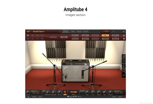 ampliscope是什么意思？ampliscope怎么读？ampliscope例句及用法